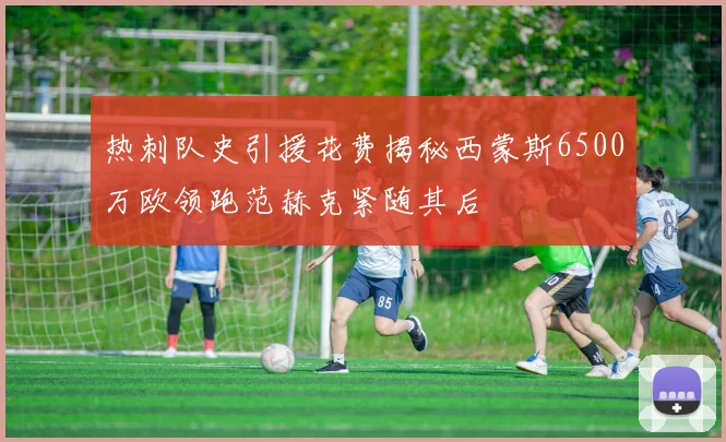 热刺队史引援花费揭秘西蒙斯6500万欧领跑范赫克紧随其后